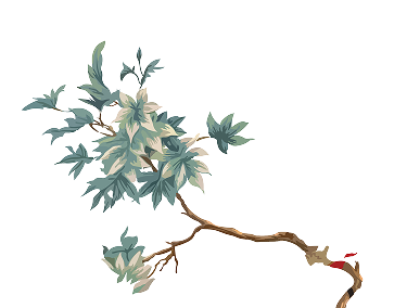 Peacock with vibrant blue body and elaborate green tail feathers with eye-like patterns.